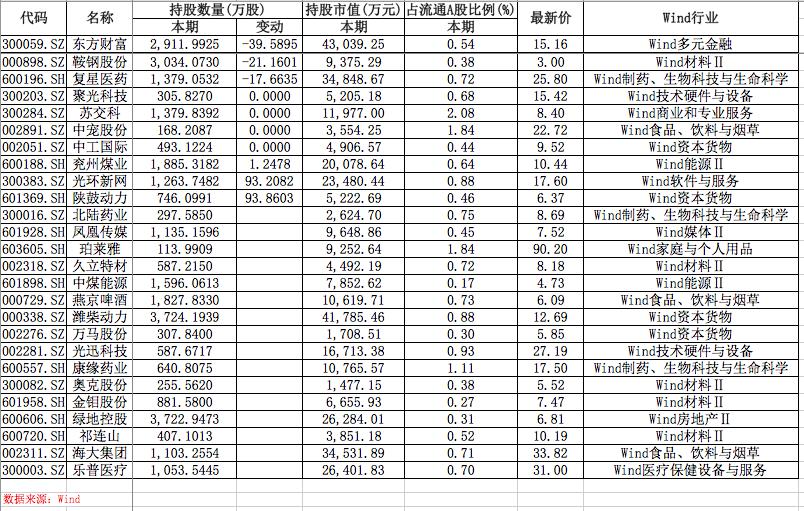 阿布扎比最新持仓揭示，全球投资新焦点瞩目之处